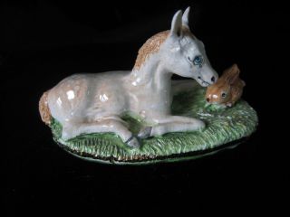 BASIL MATTHEWS Paint Horse or Pony Resting w/ Bunny Rabbit ENG 