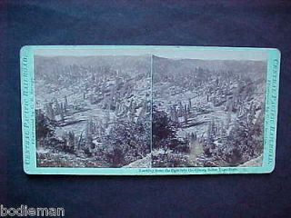 CHASM BELOW CAPE HORN Stereoview CR Savage, Central Pacific Railroad 