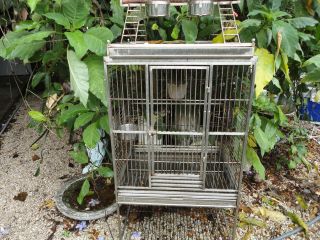 stainless steel bird cages in Cages