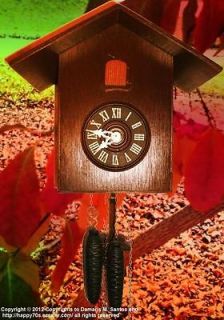 Bird House Cuckoo clock #3