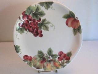 Royal Doulton Vintage Grape Dinner Plate TC 1193 Country French Fruit 
