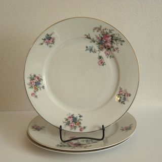 Thun Thuny Chechoslovakia Porcelain Dinner Plates   3