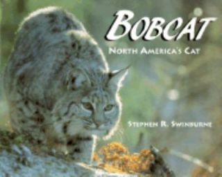 Bobcat North Americas Cat by Stephen R. Swinburne 2003, Hardcover 