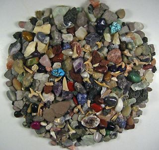   AND MINERAL COLLECTION OVER150 PCS & BUFFALO NICKEL Fun Treasure Hunt
