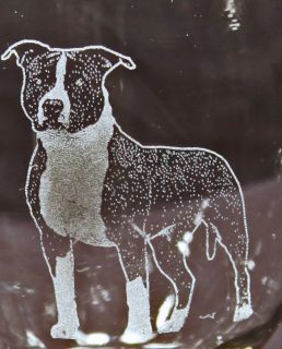 American Staffordshire/Pit Bull Terrier Nat.Ear Etched Cooler/Tumbler 