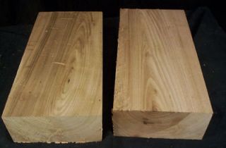 Pc 3x6x12 inch Wormy Butternut Carving Turning Lumber