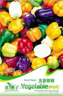 Sack 10 Pepper Seed Colorful Ornamental Vegetables Seeds Magic Price