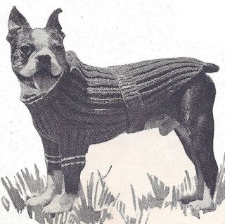 dog sweater knitting pattern