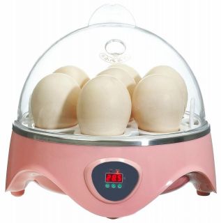 HovaBator Still Air Egg Incubator Kit for Reptiles  Thermometer 