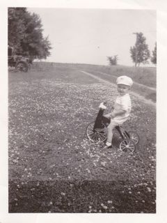Vintage Old Photo Cute Little Boy on Antique Tricycle Field of Flowers 
