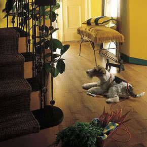   Accolade RUSTIC OAK 8mm Wood Flooring w/pad attached just $1.99sf