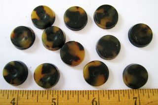   LUCITE TORTOISE17mm ROUNDS UNPOLISHED CABOCHONS CUT FROM FULL SHEETS