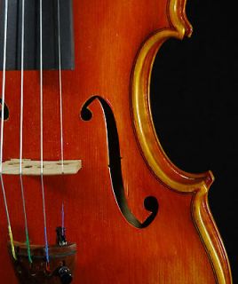 Marvelous Italian Violin by Stephano Pacchiarini c.1998 4/4 old 