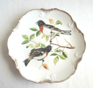 Vtg Norcrest Porcelain Red Breasted Grosbeak Bird Plate/Plaque, Japan 