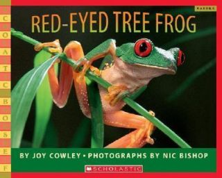 NEW   Red eyed Tree Frog (Scholastic Bookshelf)