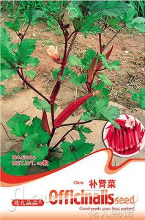 Kidney Dish Seed ★ 10 Herb Seed Annual Charming Fragrance Striking 
