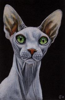   04 kitten kitty pencil art painting Sandrine Curtiss Art ACEO PRINT