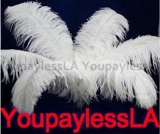   10 PCS White Ostrich Feathers For Wedding Eiffel Tower Vase 10 24 US