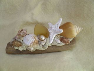 seashell starfish driftwood table accent piece wedding favor glass 