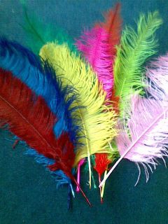10 20 30 LONG OSTRICH FEATHERS   MIXED COLOURS   2NDS SALE FROM HALF 