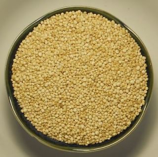 Organic Quinoa ~ Goosefoot ~ Peruvian Rice (Chenopodium quinoa) Seeds