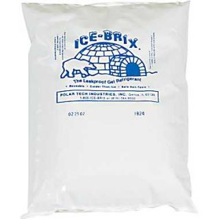  Ice Brix™ Cold Packs, 6 x 4 x 3/4  