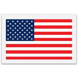 Packing List Envelopes 5 14 x 8 USA Flag Pack Of 1000 by Office Depot