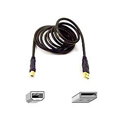 Belkin Gold Series USB 20 Device Cable AB 10 Black by Office Depot