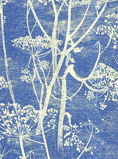 Buy Cole & Son Cowparsley Wallpaper, Sky, 66/7050 online at JohnLewis 