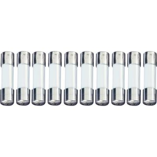 ESKA Feinsicherung 5 x 20 mm 520507 250 V 0.1 A Flink  F  Inhalt 10 St 