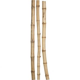 Set of 3  Bamboo Poles in Botanicals and Plants  Crate and 