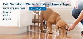 Dog Food Guide   Find Grain Free, Organic, Dry and Canned Dog Food 