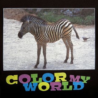 Impression Digitale Directe sur un t shirt noir motif Zebra, très 
