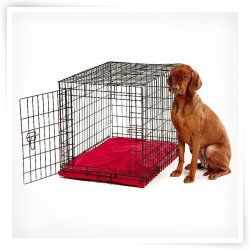 Bowsers Platinum Series All Weather Dog Crate Bed