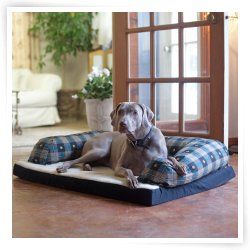 Beasleys Couch Dog Bed   Teal Pawprint Plaid