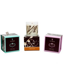 CHOCOLATE CANDLES   UncommonGoods