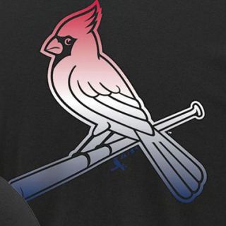 Camiseta MLB Turn to Victory para hombres
