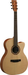 Martin XC1T Ellipse Acoustic Electric (with Case) at zZounds
