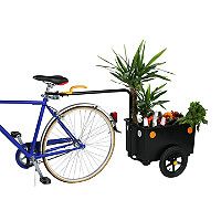 Bellelli Eco Bike Trailer Max Cat code 268073 0