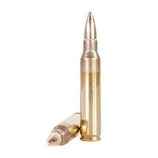 Winchester 5.56mm FMJ Ammunition   