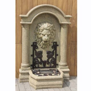 Vlademier Lion Wall Fountain at Brookstone—Buy Now