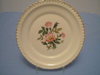   Pottery Co. Wild Beach Roses Dessert Plate with 22 KT Gold Trim