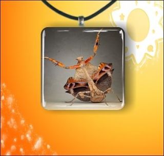 INSECT LIFE BROWN PRAYING MANTIS GLASS 1 PENDANT NECKLACE