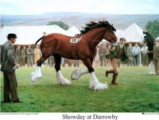 BORDER FINE ARTS   SHOWDAY AT DARROWBY farm horse PRINT