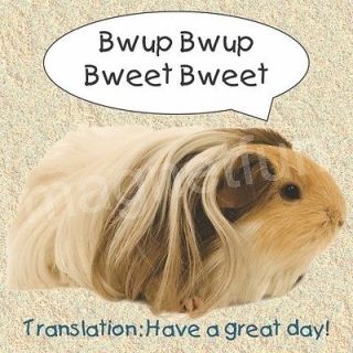 Fridge Magnet Picture Guinea Pig Greeting Free Text Personalizing