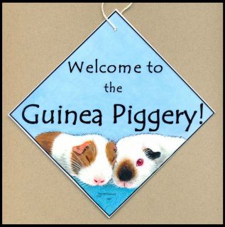 guinea pig sign