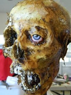 HALLOWEEN HORROR MOVIE PROP   Realistic Resin Human Half Skull Corpse 
