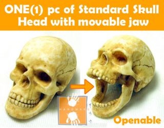Hot Custom 1/6 Scale Toys Skull Head with Movable Jaw
