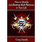 NEW How to Identify and Destroy Evil Patterns in Your Life Spiritual 