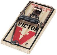 Victor M150 Lot of Twenty (20) Snap Spring Wooden Mouse Trap / Rodent 